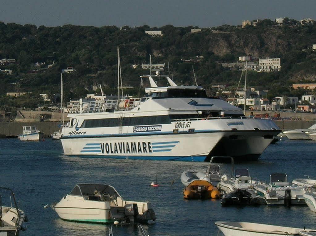 Pensione Villa Mafalda Forio di Ischia Eksteriør bilde